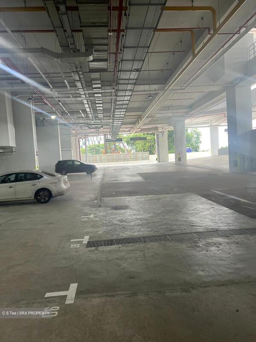 Ct Foodnex (D25), Factory #598608171